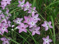 P6030151